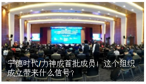 寧德時代/力神成首批成員！電動航空標委會成立帶來什么信號？