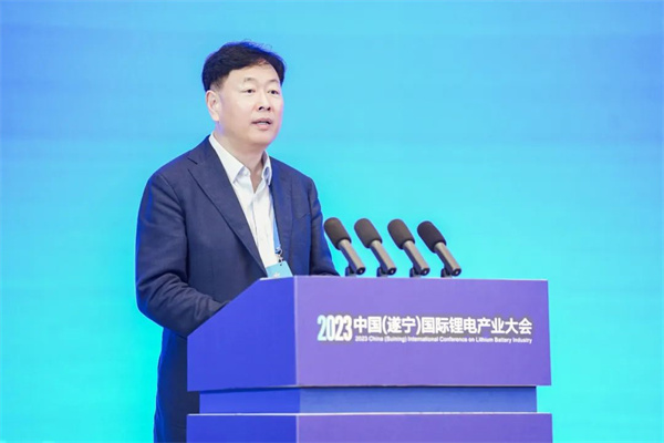 中國化學(xué)與物理電源行業(yè)協(xié)會(huì)秘書長王澤深致辭