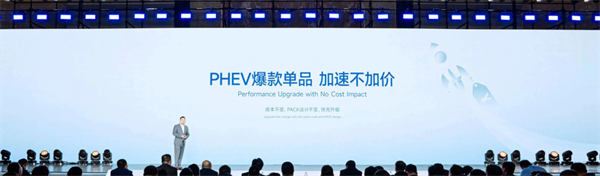 獨家｜對話楊紅新：蜂巢能源2024年如何“破卷”？